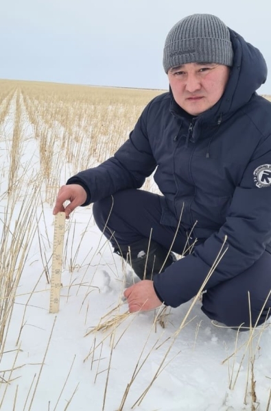 «Мне осталось только тапочки свои заложить»: как государство задолжало фермерам миллиарды тенге