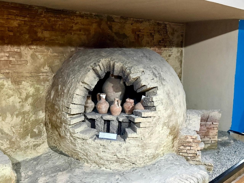 Когда в степи уже работали заводы: что ещё открыла Центрально-казахстанская экспедиция археологов