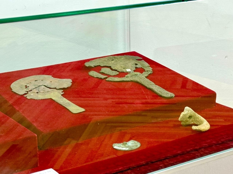 Когда в степи уже работали заводы: что ещё открыла Центрально-казахстанская экспедиция археологов